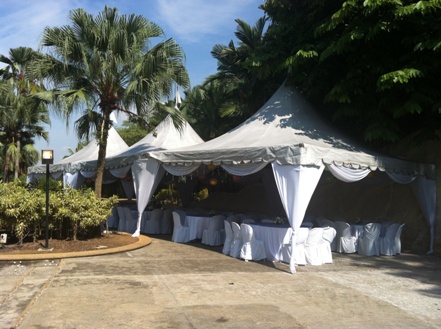 Izzi Canopy Rental